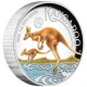 澳洲伯斯PERTH-澳洲袋鼠2026年-1盎司精製高浮雕彩色銀幣